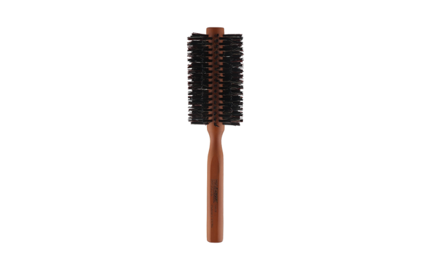 Brosse DNA EVOLUTION 13519