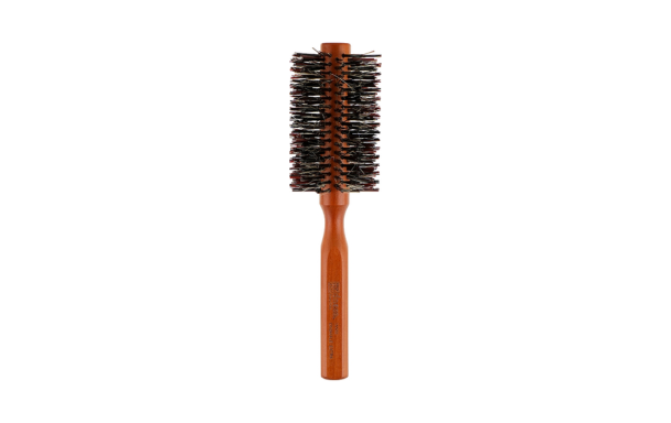 Brosse DNA EVOLUTION 13522