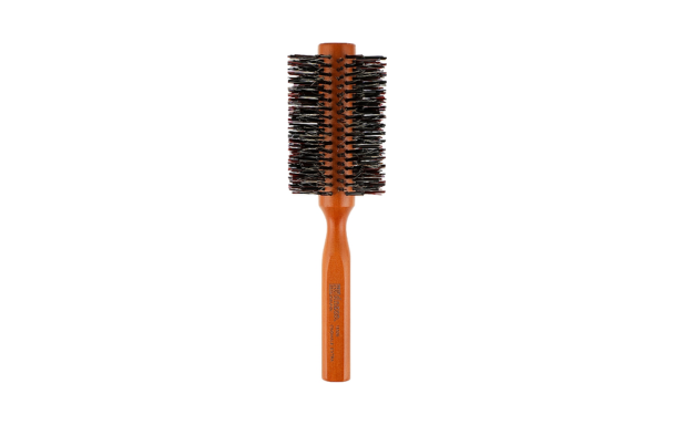Brosse DNA EVOLUTION 13526