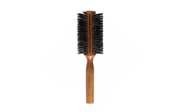Brosse DNA EVOLUTION 13531