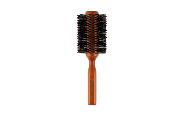 Brosse DNA EVOLUTION 13533